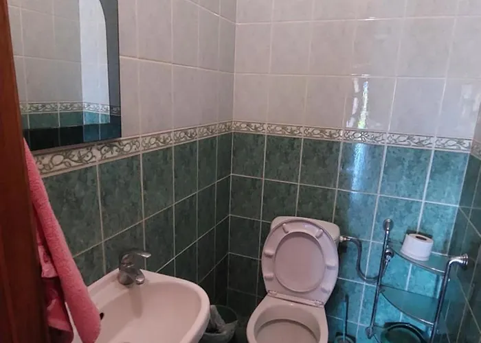 зелена * سفاليافا